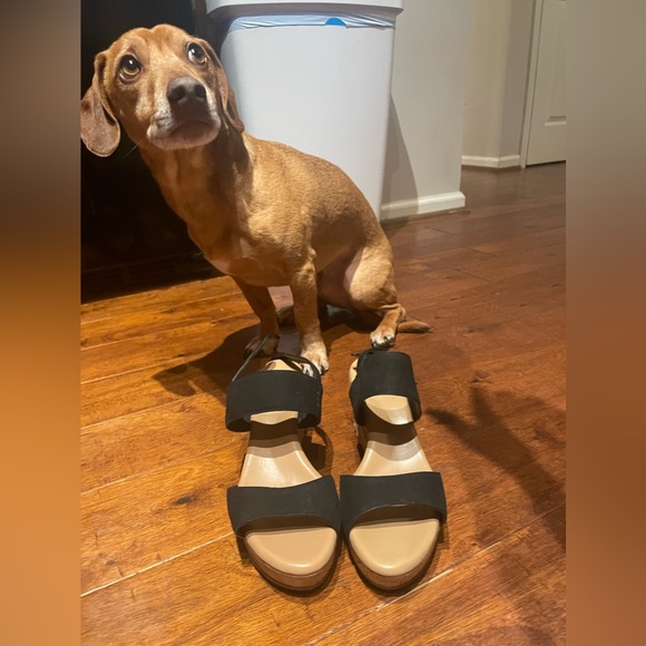 Black Ugg Wedges - Picture 3 of 9